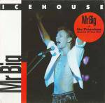 Icehouse : Mr. Big